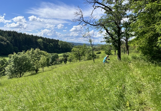 24-05-18 16-16-59 9474